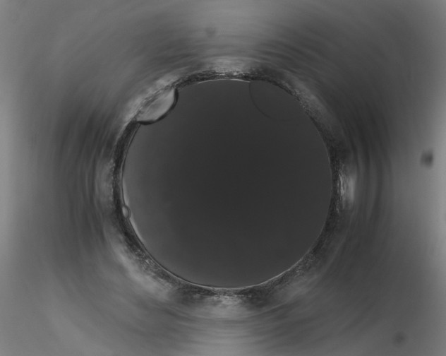 X0000116120492200912211657