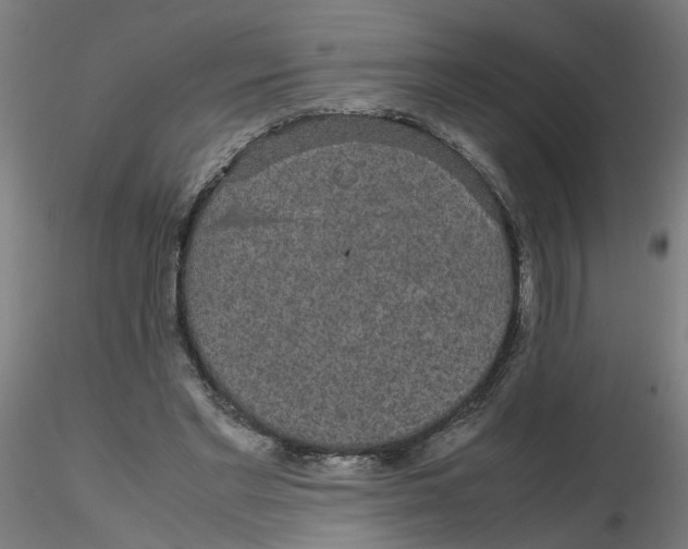 X0000116120493200912211657