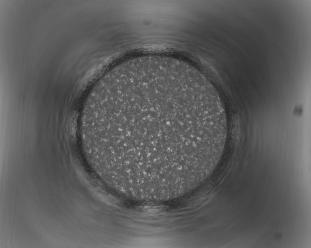 X0000116120495200912211657