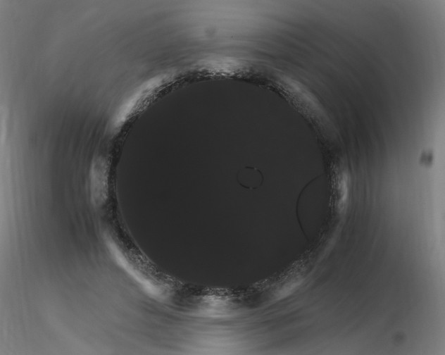 X0000116120496200912211657