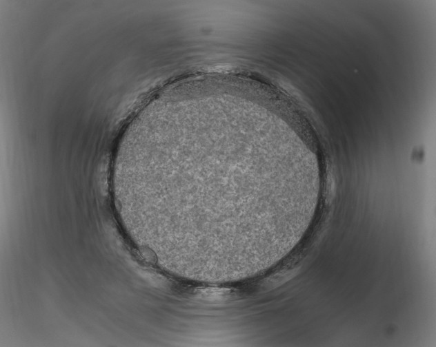 X0000116120497200912211657