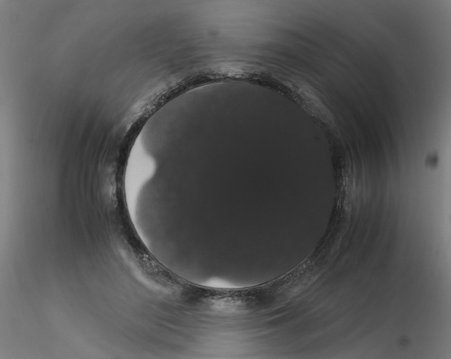 X0000116120500200912211657