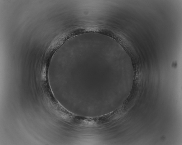 X0000116120502200912211657
