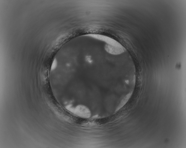 X0000116120503200912211657