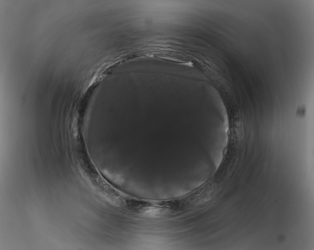 X0000116120504200912211657
