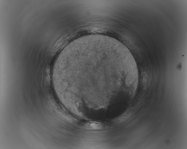 X0000116120506200912211657