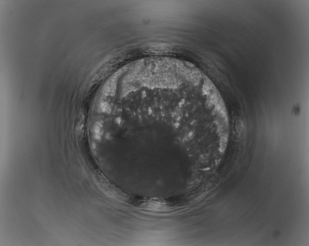 X0000116120507200912211657