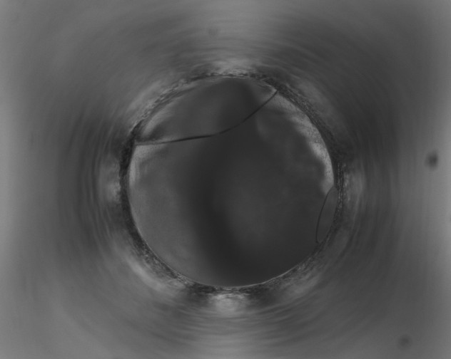X0000116120508200912211657