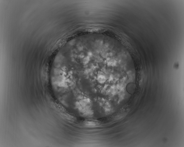 X0000116120510200912211657