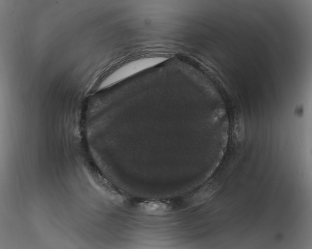 X0000116120512200912211657