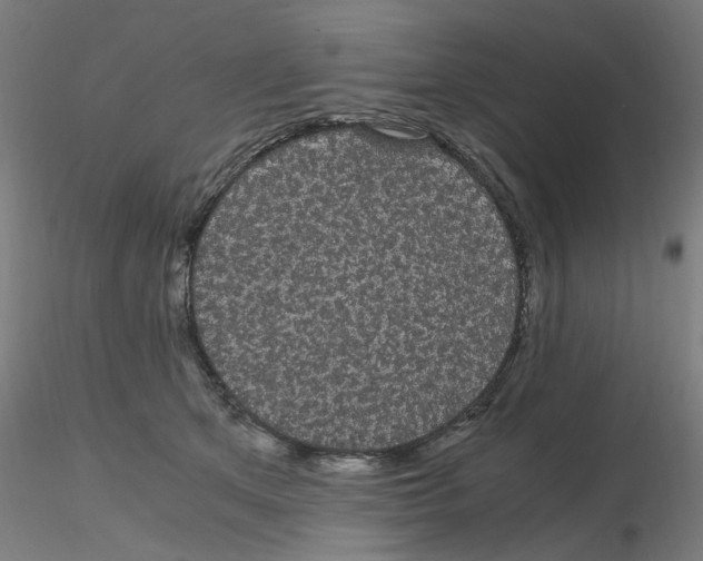 X0000116120513200912211657
