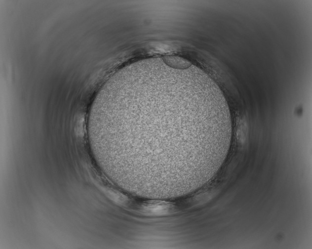 X0000116120514200912211656