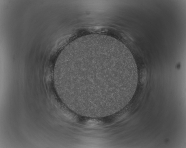 X0000116120515200912211656