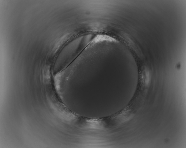 X0000116120516200912211656