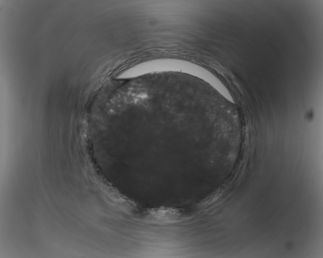 X0000116120517200912211656