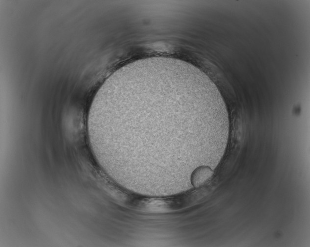 X0000116120518200912211656