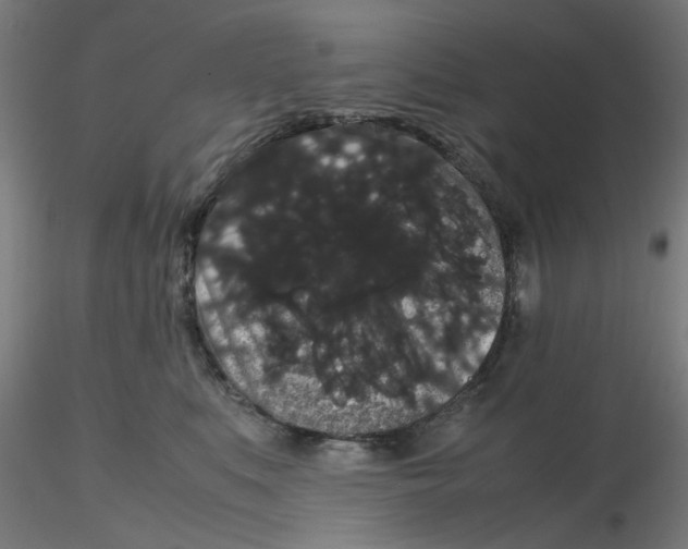 X0000116120519200912211656