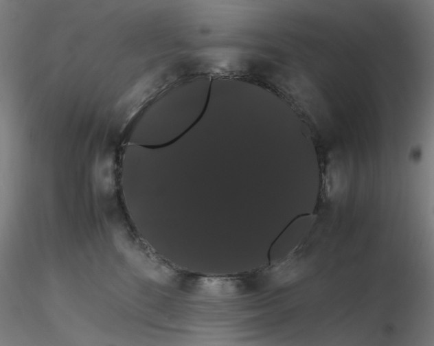 X0000116120520200912211656