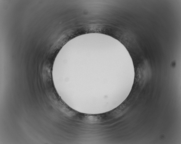 X0000116120522200912211656