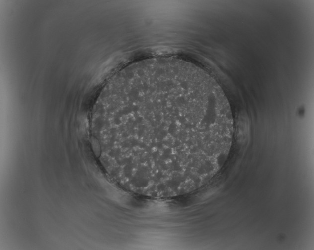 X0000116120523200912211656
