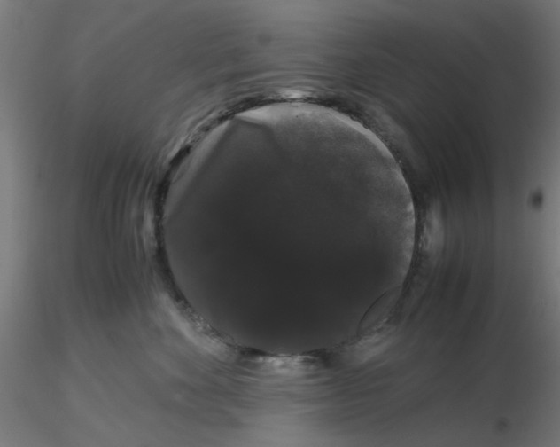 X0000116120524200912211656