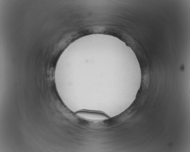 X0000116120525200912211656