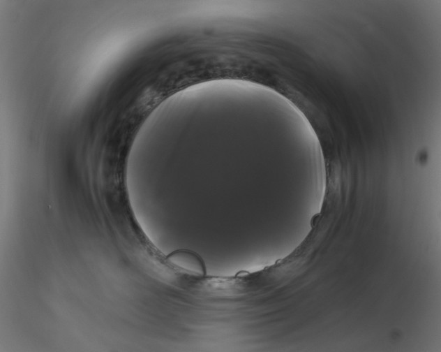 X0000116120526200912211656