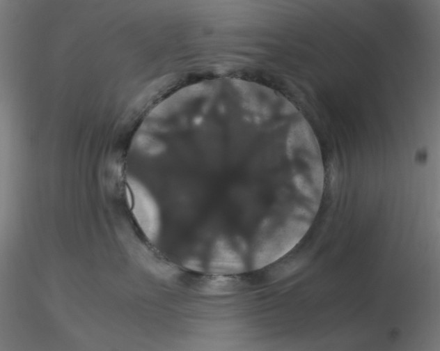 X0000116120527200912211656