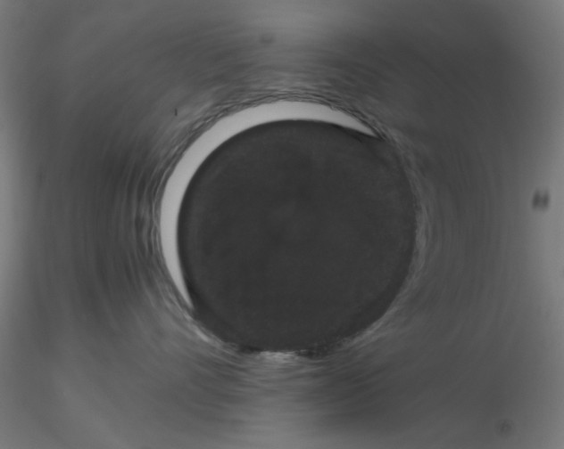 X0000116120528200912211656