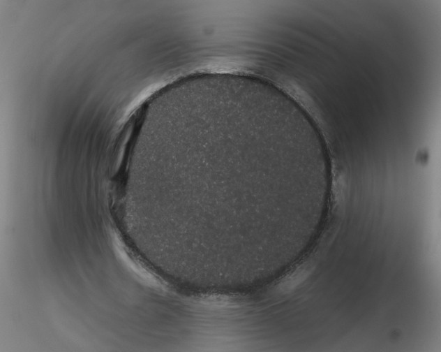 X0000116120530200912211656