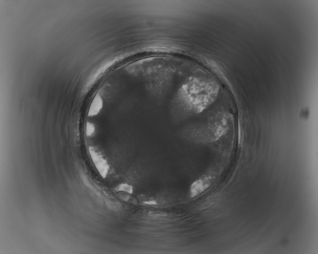 X0000116120531200912211656