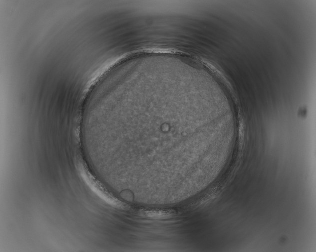 X0000116120533200912211656
