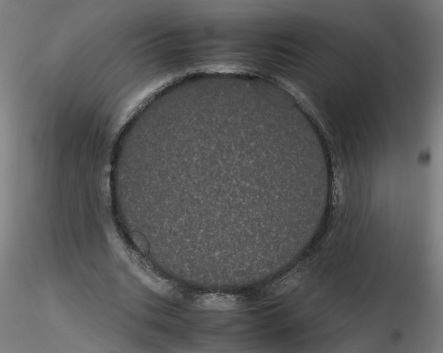 X0000116120535200912211656