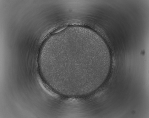 X0000116120538200912211656