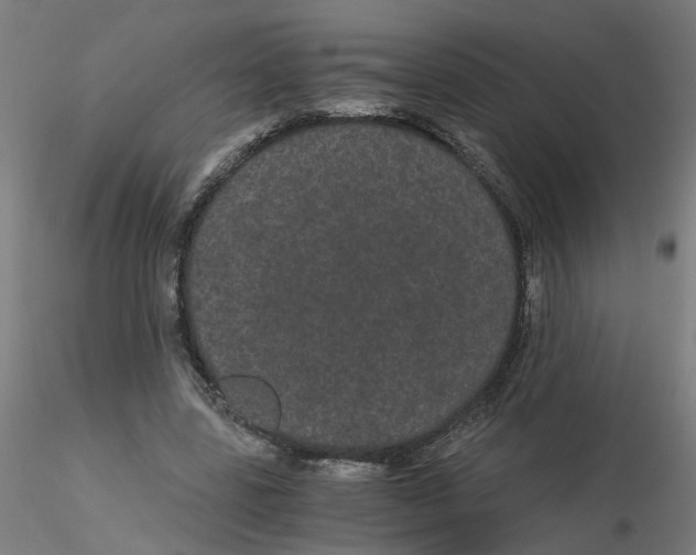 X0000116120539200912211656