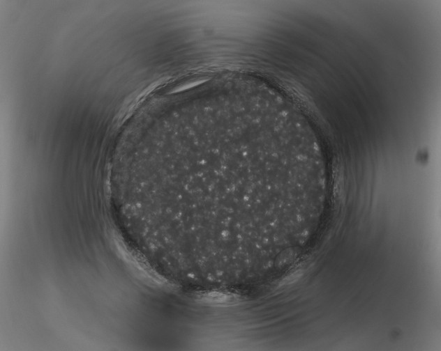 X0000116120542200912211656
