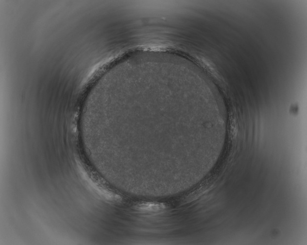 X0000116120543200912211656