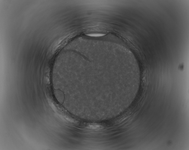 X0000116120547200912211656