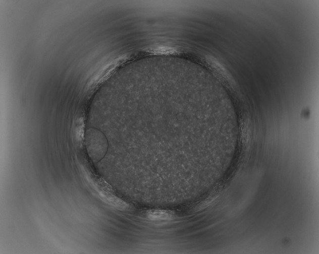 X0000116120549200912211656