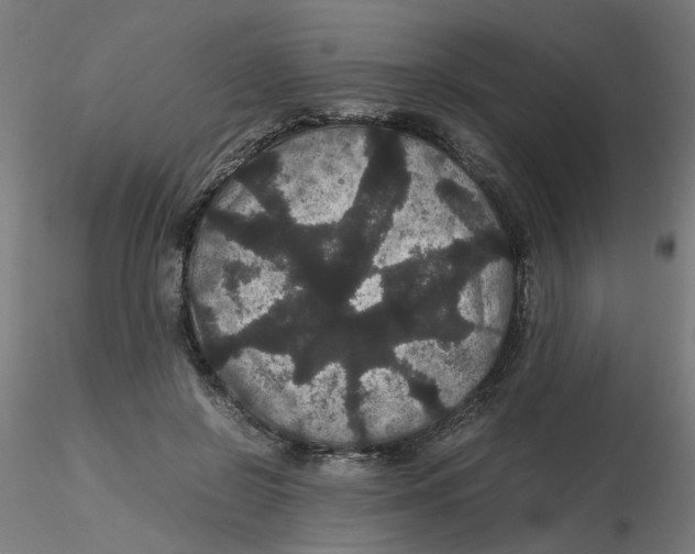 X0000116120550200912211656