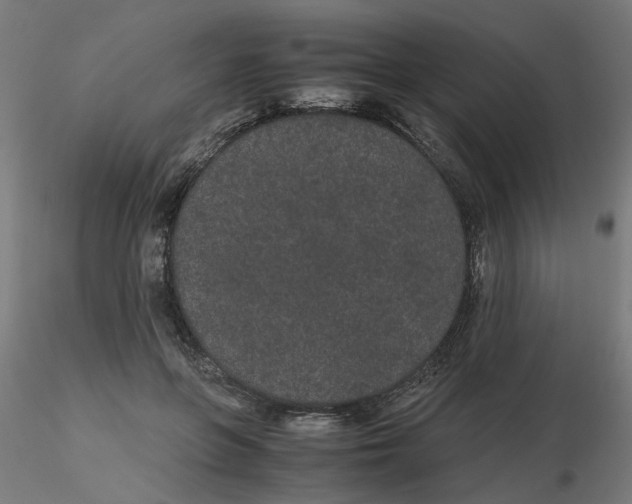 X0000116120551200912211656