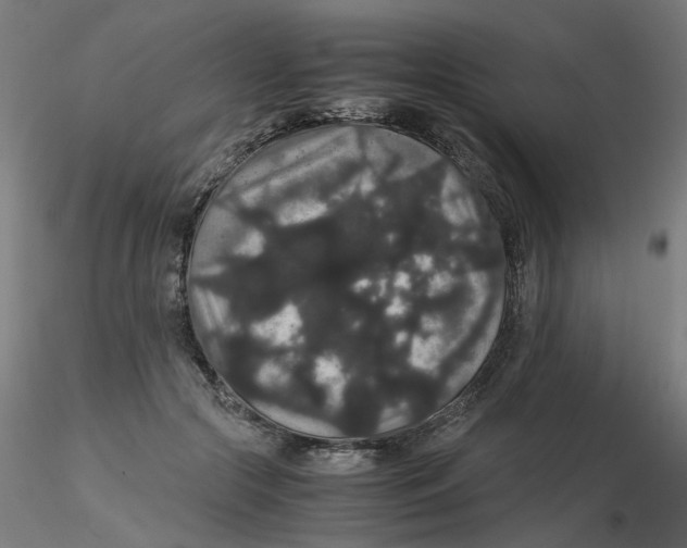 X0000116120553200912211656