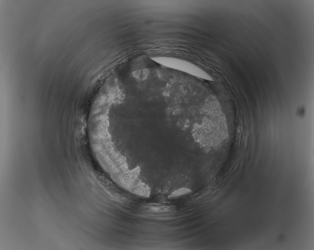 X0000116120555200912211656