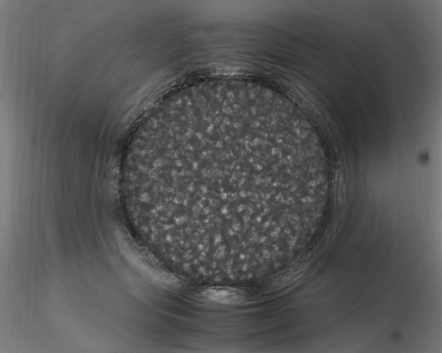 X0000116120557200912211656
