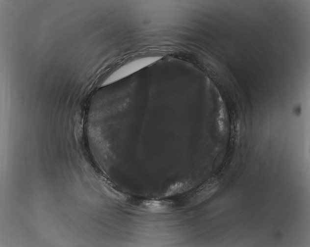 X0000116120558200912211656