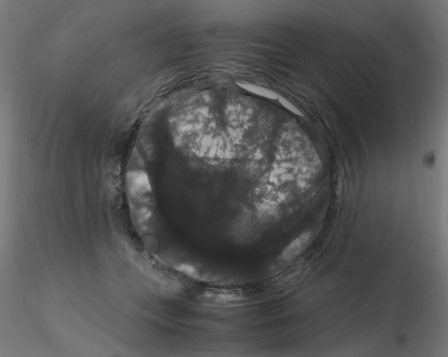 X0000116120559200912211656