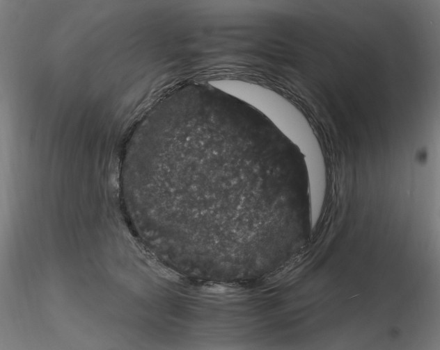 X0000116120561200912211656