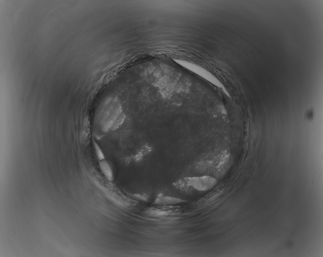X0000116120563200912211656