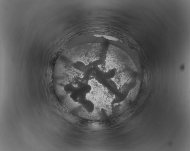 X0000116120565200912211656