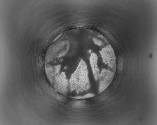 X0000116120569200912211656